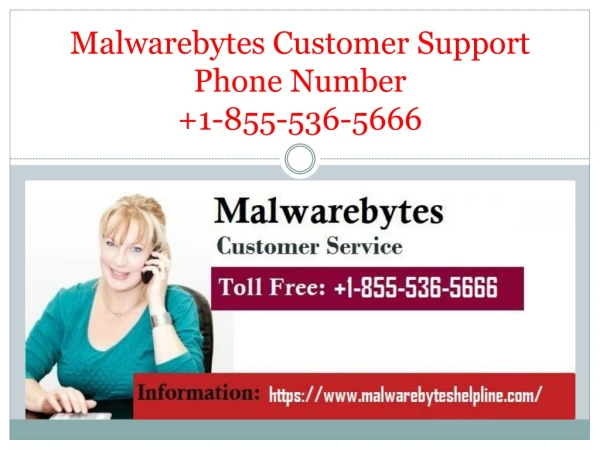 Malwarebytes Customer Support 1-855-536-5666 Number