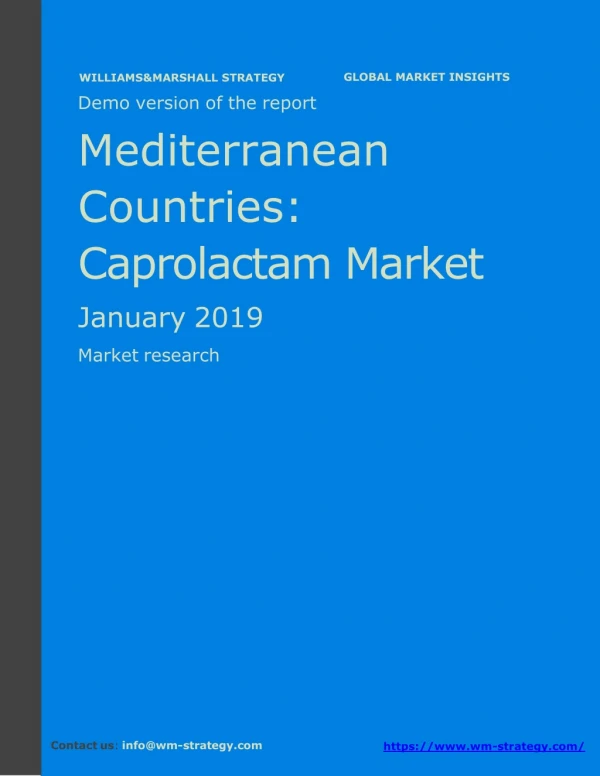 WMStrategy Demo Mediterranean Countries Caprolactam Market January 2019
