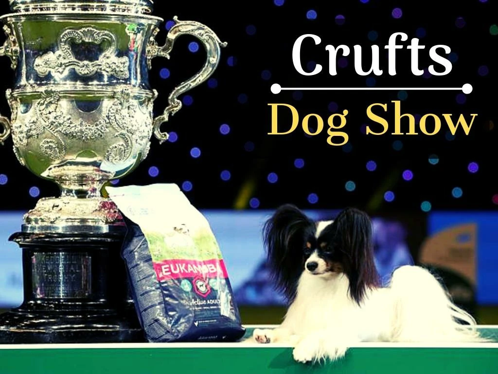crufts dog show