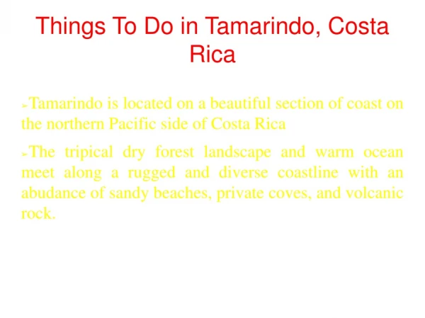 Top Things To Do in Tamarindo, Costa Rica