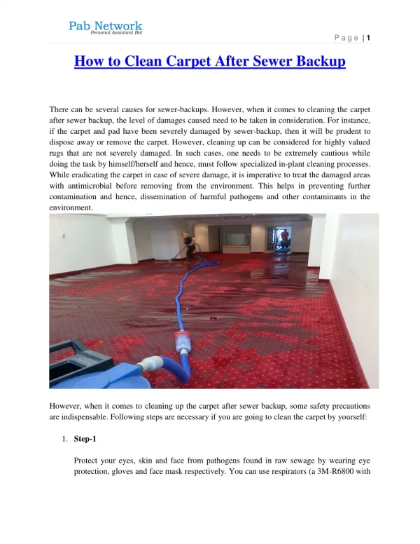 How to Clean Carpet After Sewer Backup