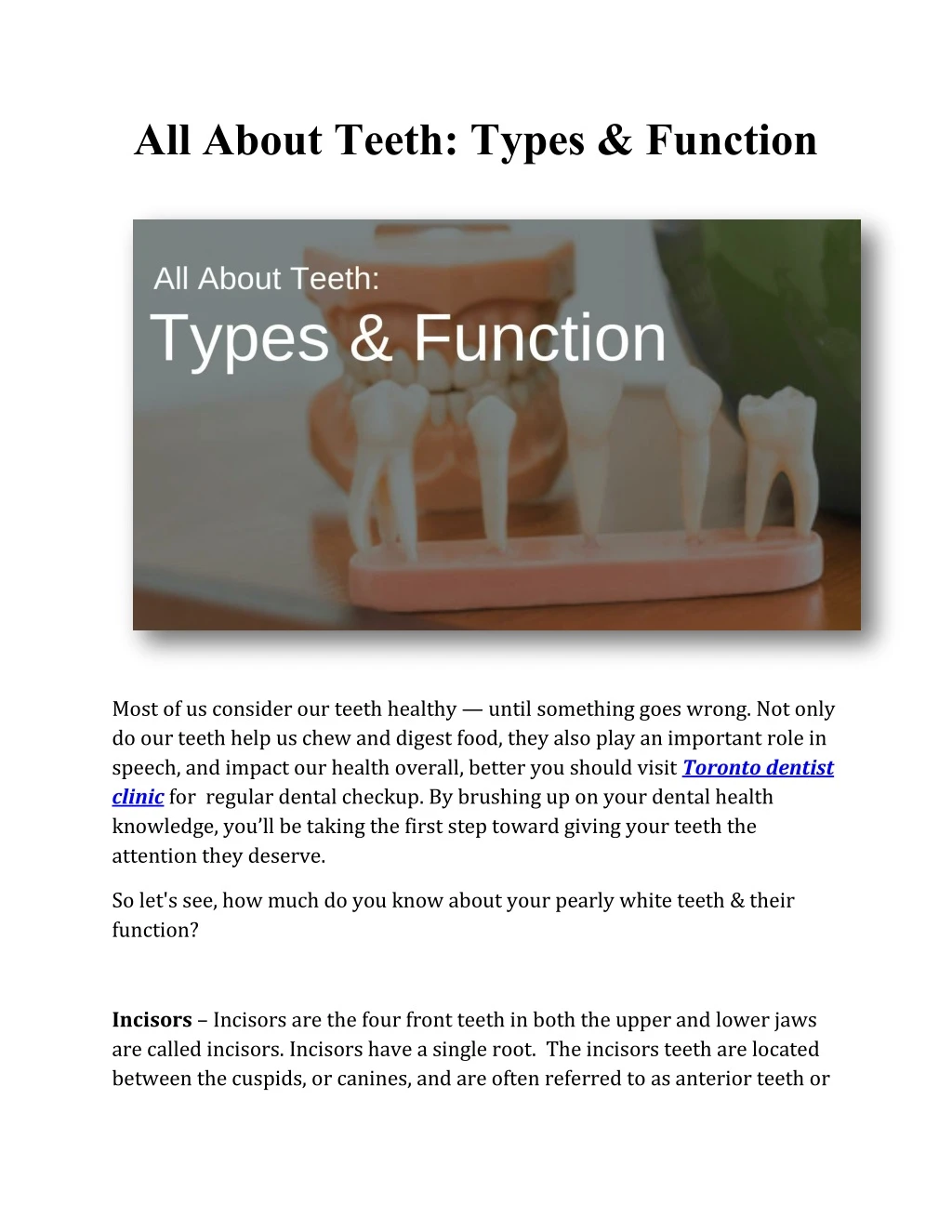 all about teeth types function