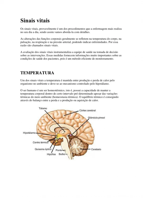 sinais vitais