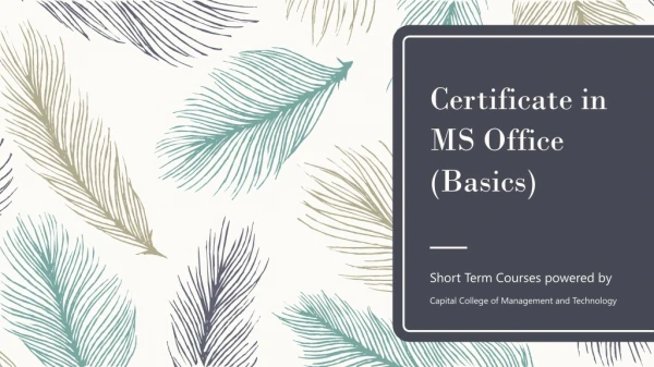 Certificate in MS Office