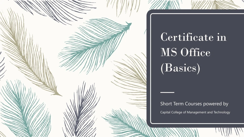certificate in ms office basics