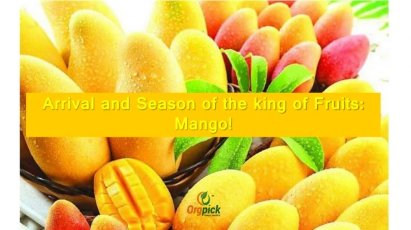 Organic Mangoes|Alphonso|MangoFestival|Certified|Orgpick