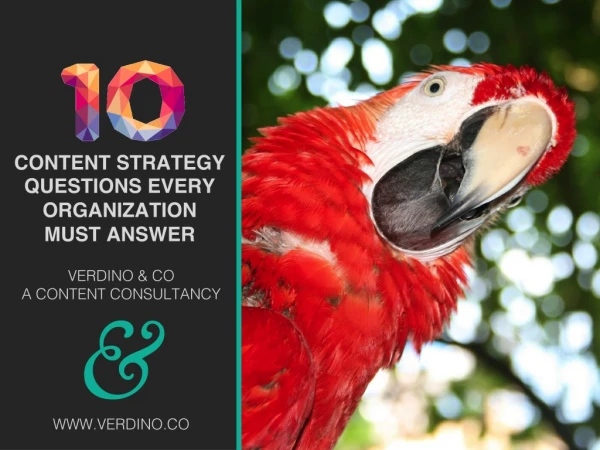 10 Content Strategy Questions Every Organization Must Answer - VERDINO & CO