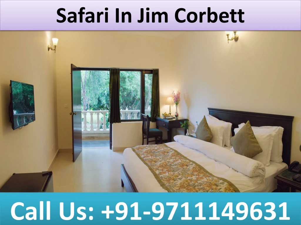 safari in jim corbett