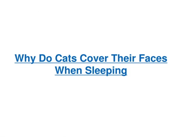 Why Do Cats Cover Their Faces While Sleeping