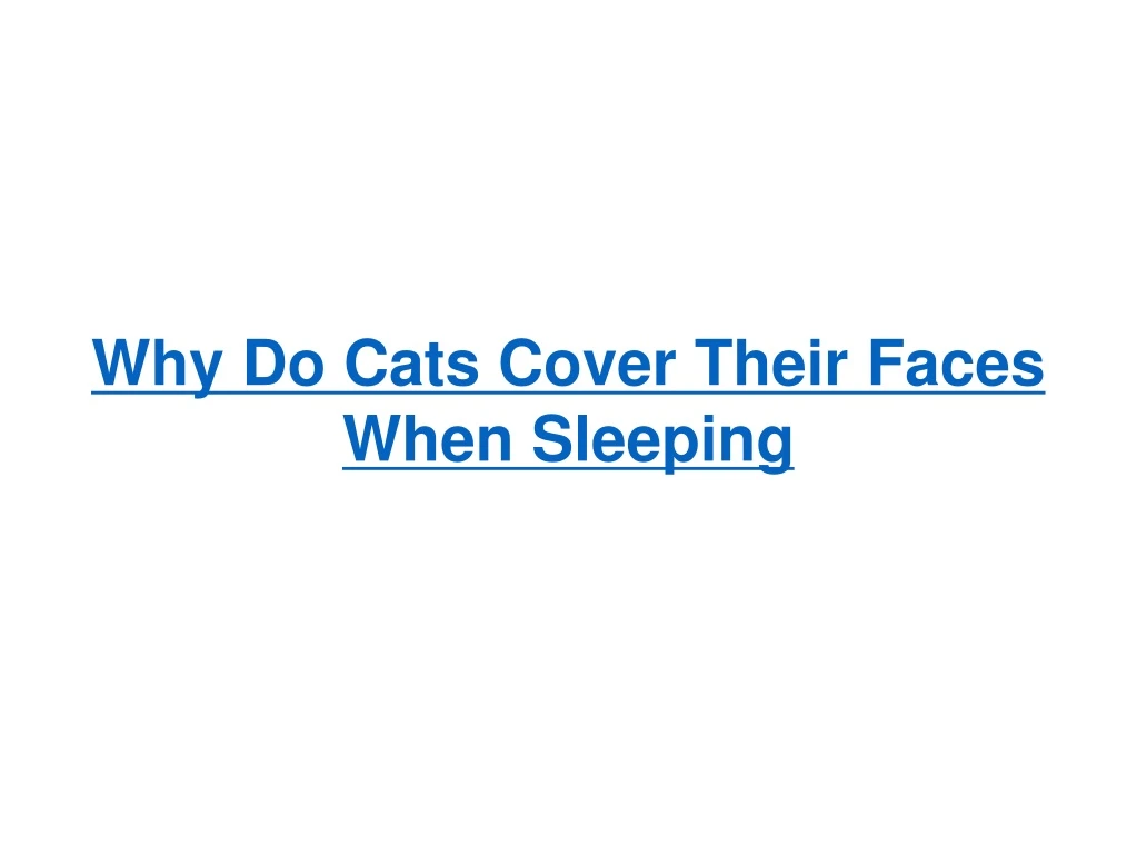 why do cats cover their faces when sleeping