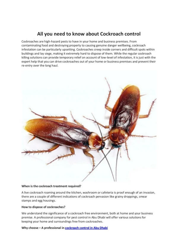All you need to know about Cockroach control