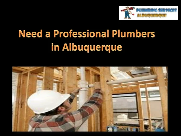 Need a Professional Plumbers in Albuquerque