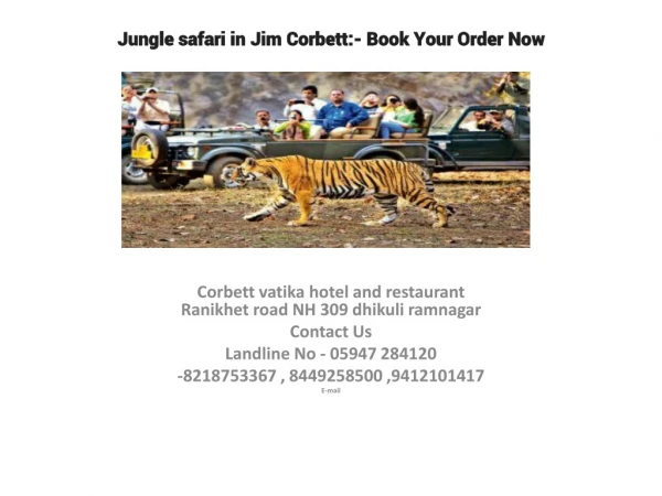 Jungle Safari in Jim Corbett