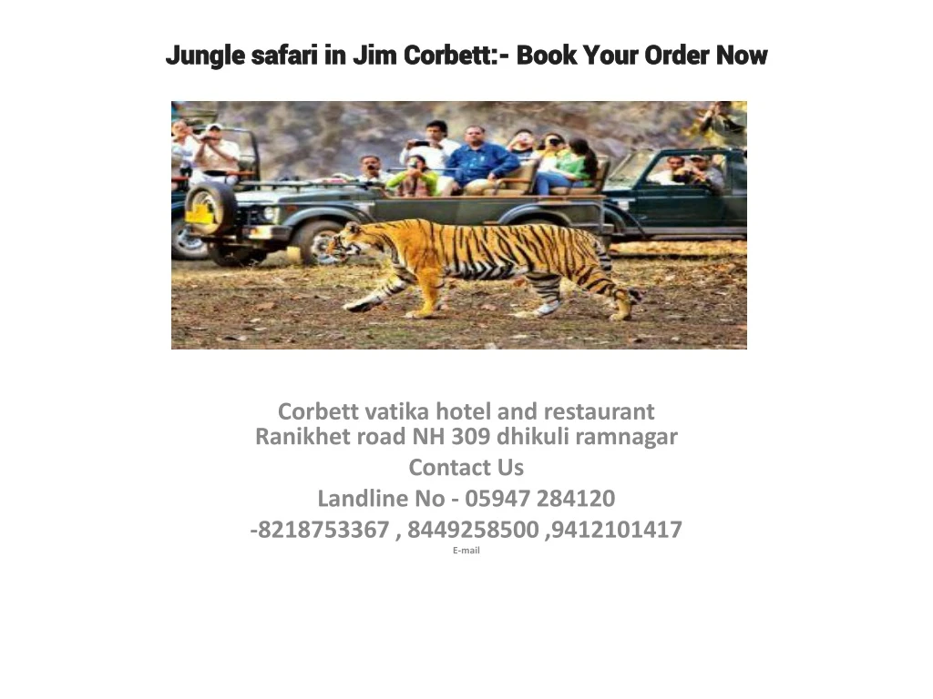jungle safari in jim corbett book your order now
