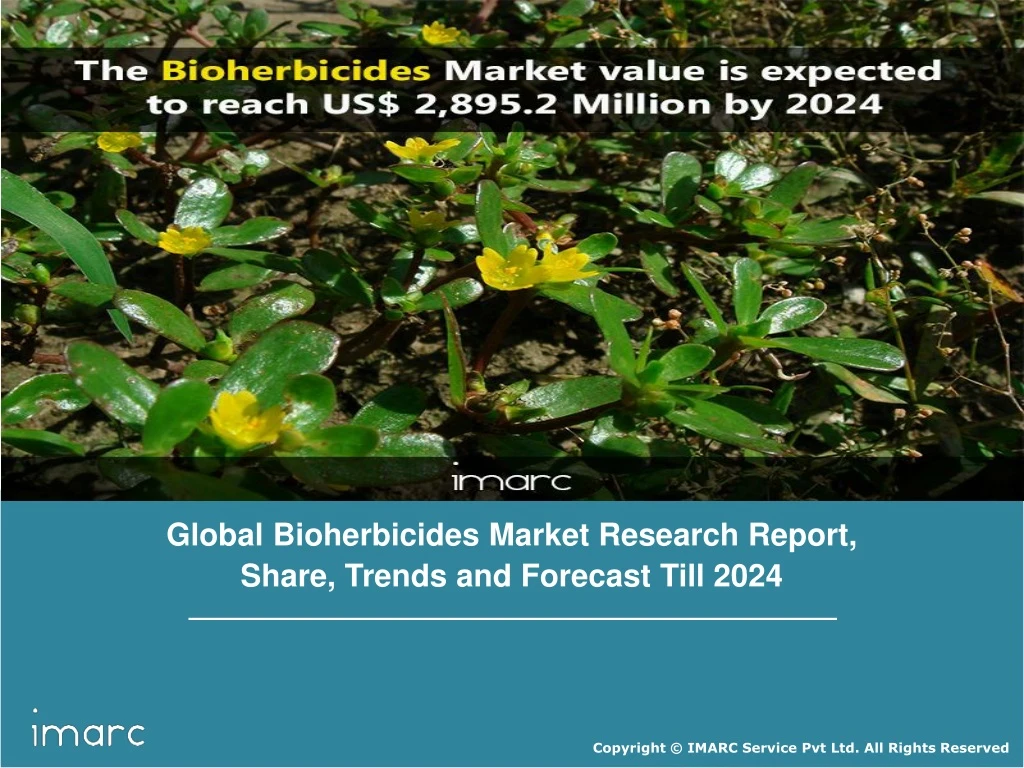 global bioherbicides market research report share