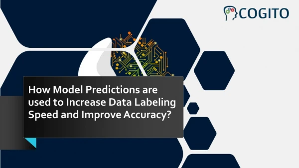 How Model Predictions are used to Increase Data Labeling Speed and Accuracy