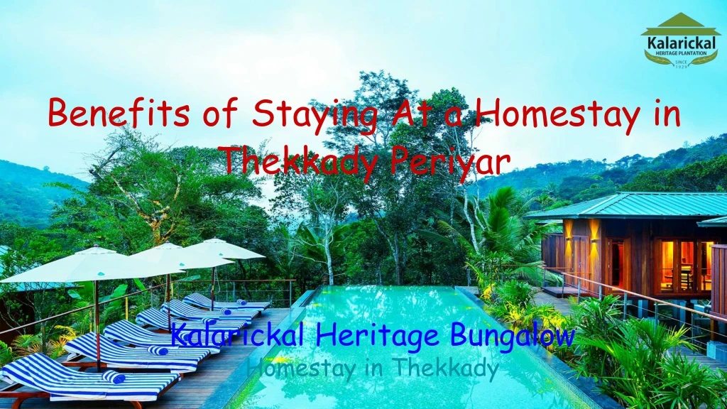 benefits of staying at a homestay in thekkady periyar