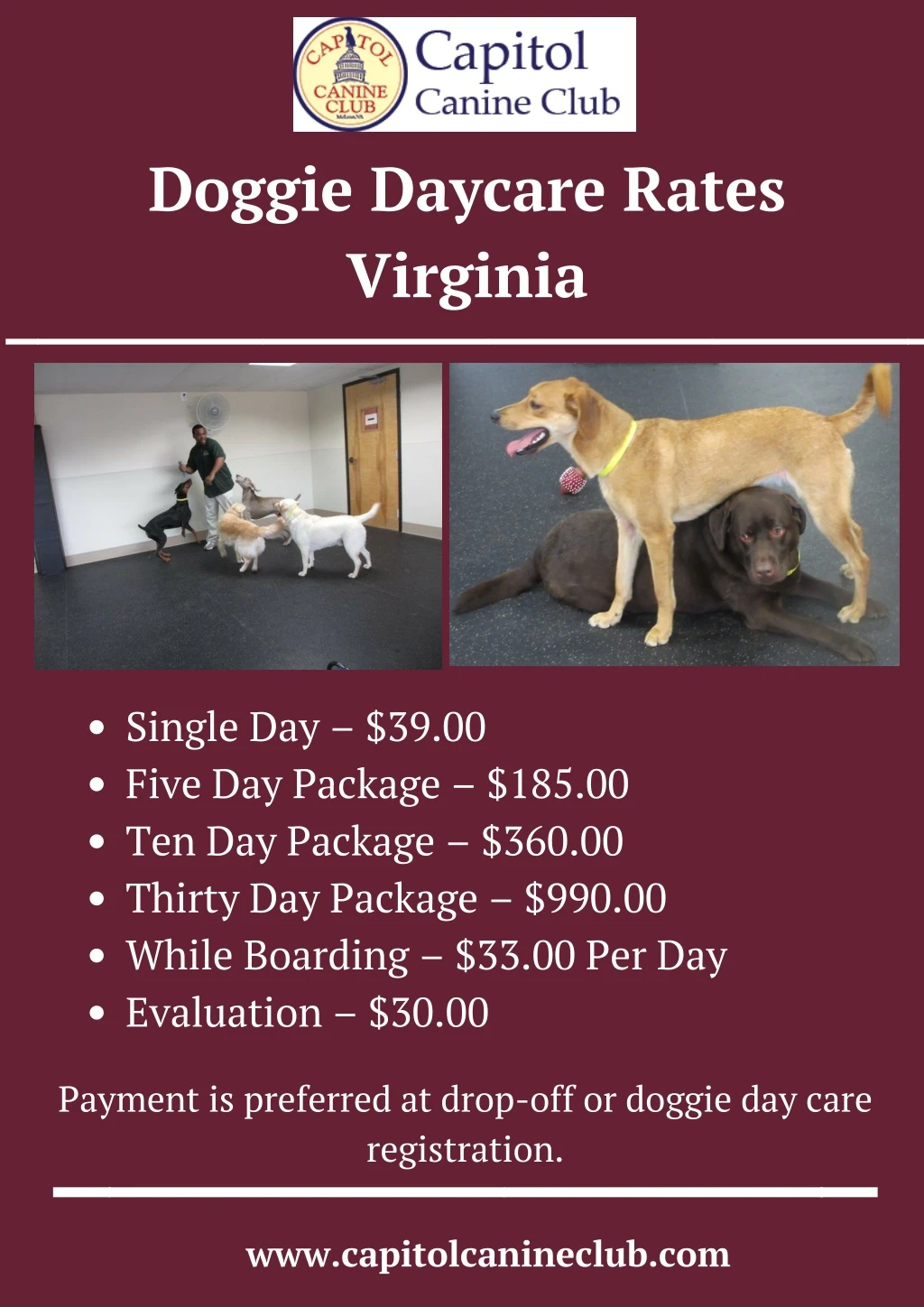 doggie daycare rates virginia
