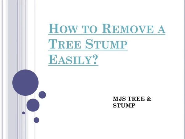 How to Remove a Tree Stump Easily?