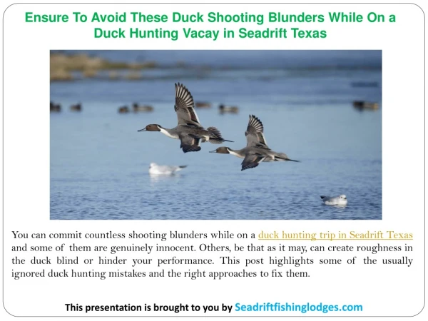 Ensure To Avoid These Duck Shooting Blunders While On a Duck Hunting Vacay in Seadrift Texas