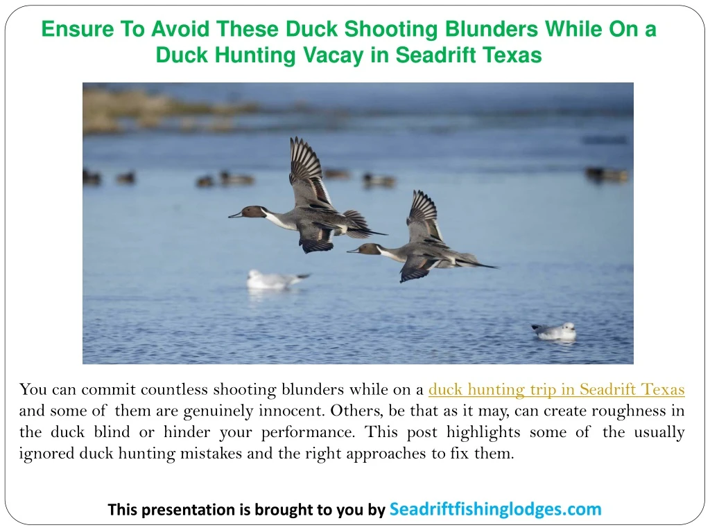 ensure to avoid these duck shooting blunders