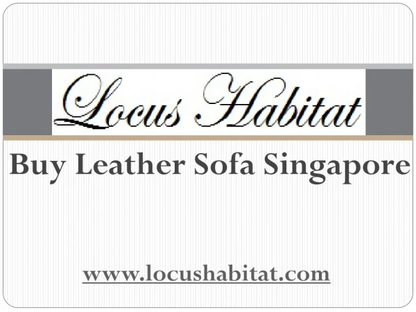 Buy Leather Sofa Singapore - www.locushabitat.com