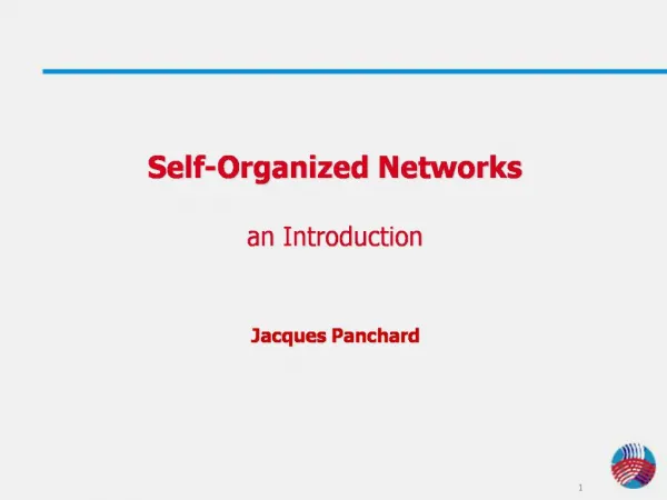 Self-Organized Networks an Introduction