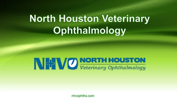 North Houston Pet Eye Health