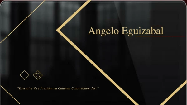 Angelo Eguizabal - Experienced Professional