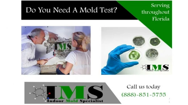 MOLD TESTING IN CAPE CORAL