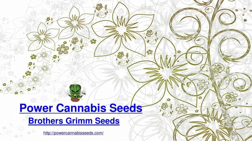 power cannabis seeds