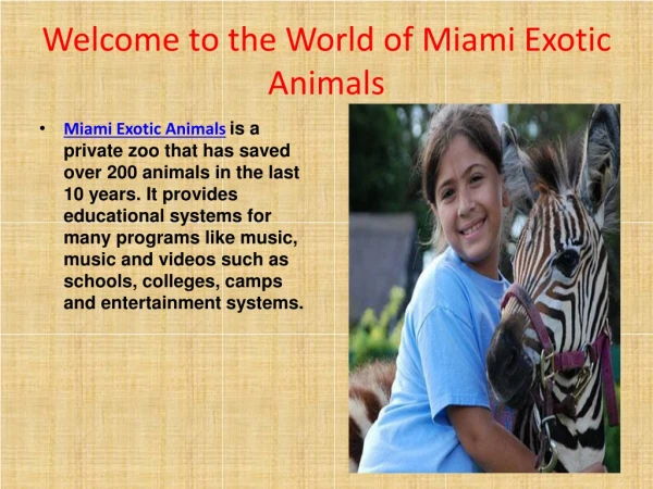 Rent Exotic wild Animals in Florida