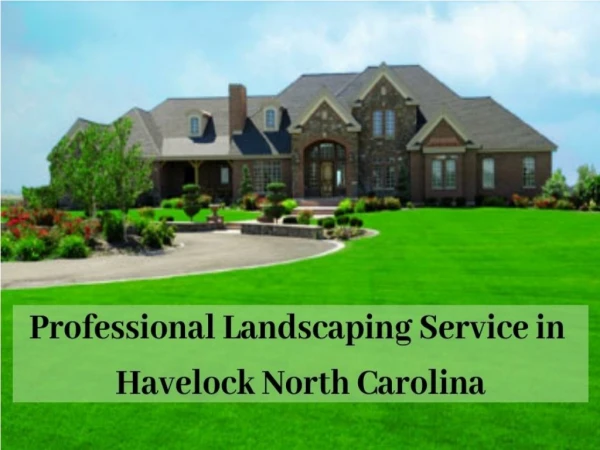 Professional Landscaping Service in Havelock North Carolina