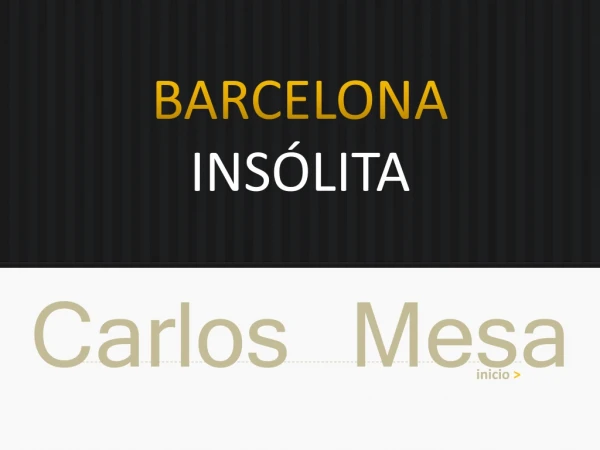 barcelona ins lita