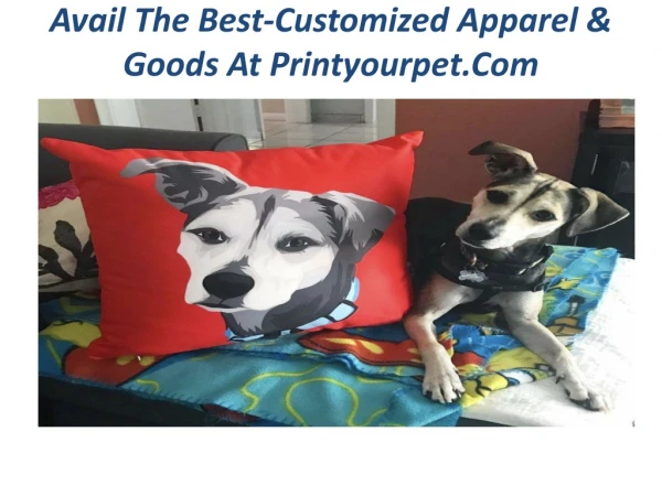 Print Your Pet - Avail The Best-Customized Apparel & Goods At Printyourpet.Com