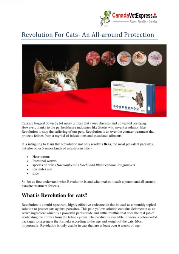 Revolution For Cats- An All-around Protection