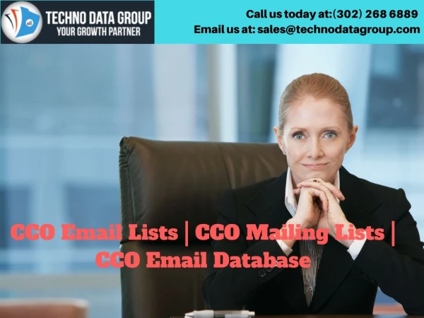 Chief Networking Officers Email List| CNO Email list| CNO Mailing Lists| CNO Email Database