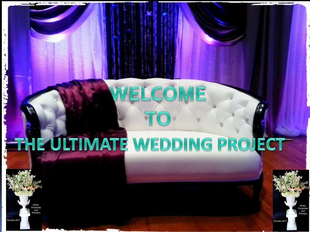 welcome to the ultimate wedding project