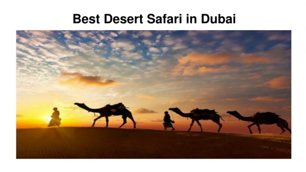 Best Desert Safari in Dubai