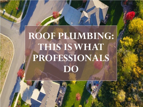 ROOF PLUMBING :This Is What Professionals Do