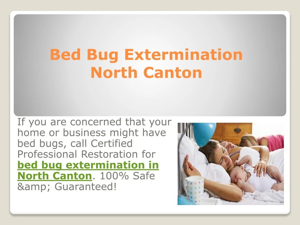 bed bug extermination north canton