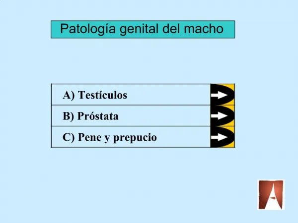 Patolog a genital del macho