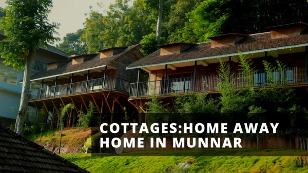 Cottages-home away home in munnar