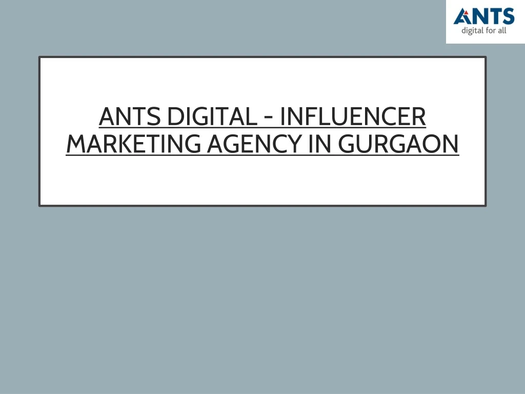 ants digital influencer marketing agency