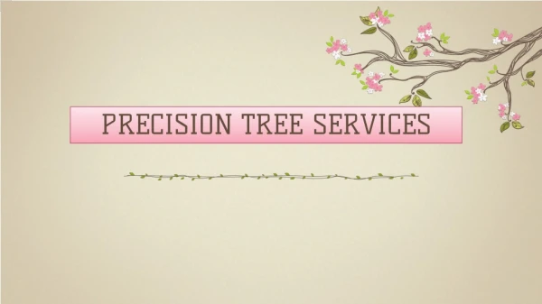 Tree Cutting Company - Precision Tree Services