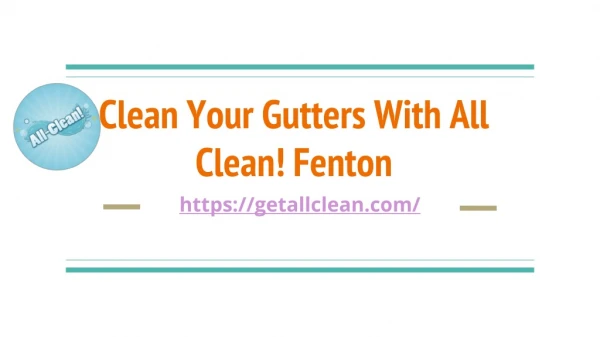 Get the gutter cleaning services in Fenton