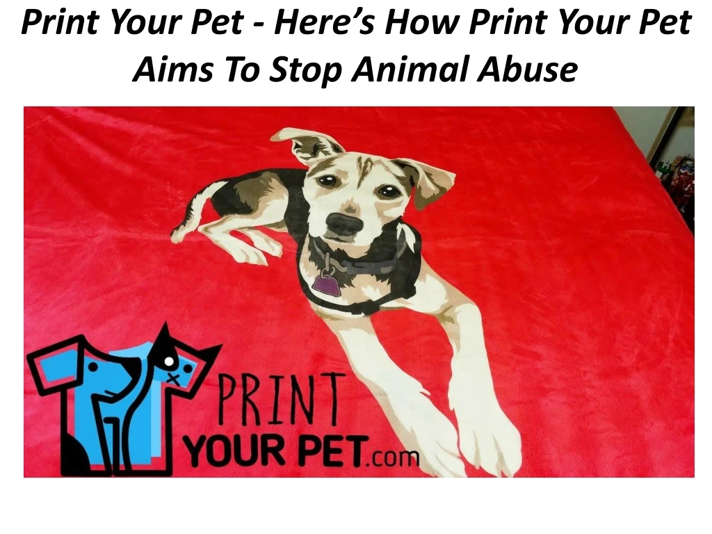 print your pet here s how print your pet aims to stop animal abuse