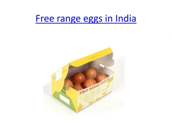 Free Range Eggs in India