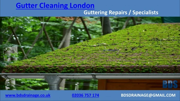 Gutter Cleaning specialists in London
