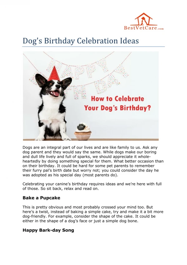 Dog's Birthday Celebration Ideas